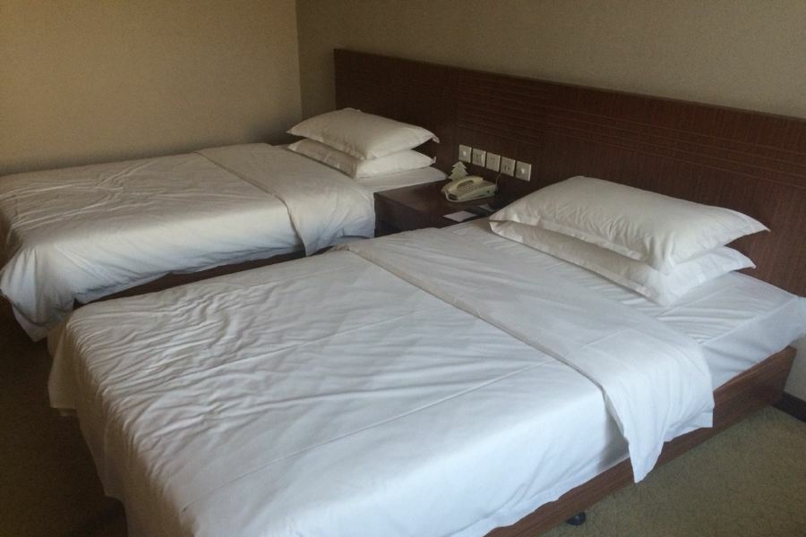 Nanjing Expo Center Hotel מראה חיצוני תמונה