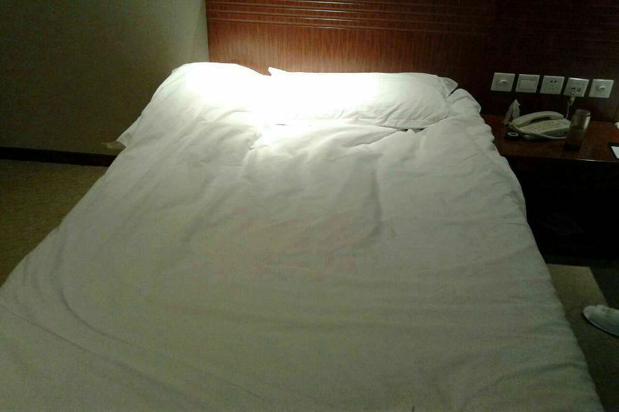 Nanjing Expo Center Hotel מראה חיצוני תמונה